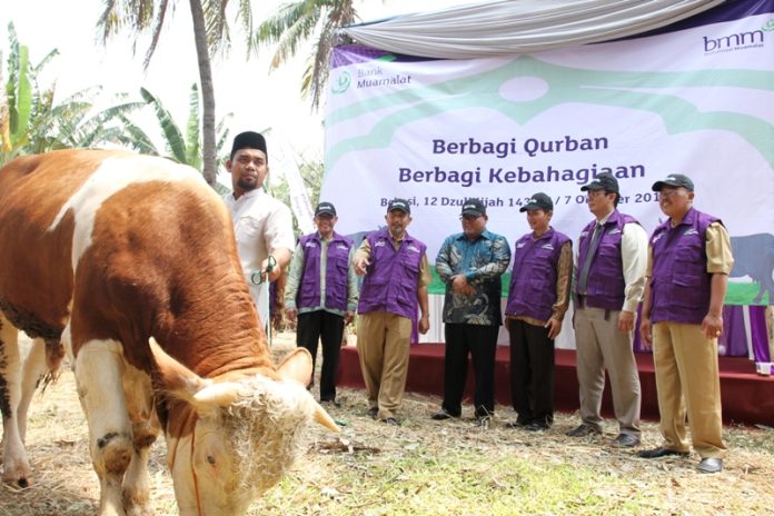 suara jakarta Qurban 2014 BMM bank muamalat