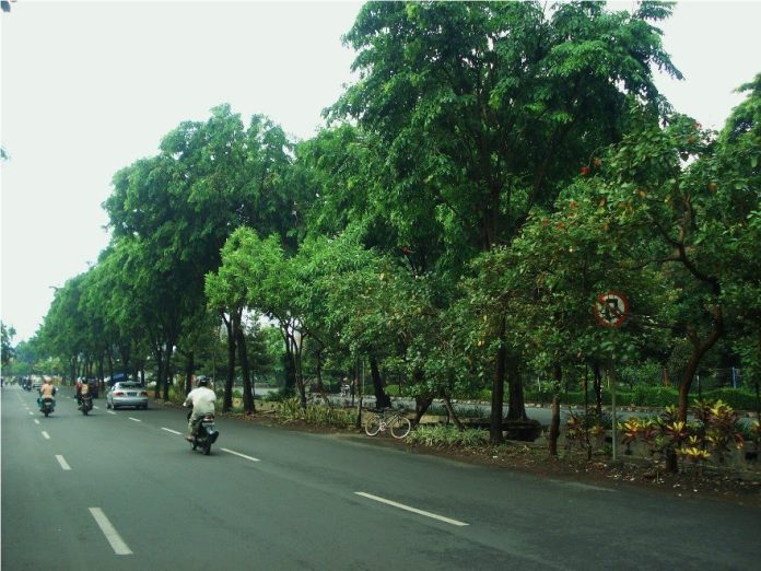 suara jakarta penghijauan pohon pinggir jalan