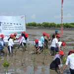 Peringati Hari Bumi, Ratusan Sahabat Satu Hati Tanam 1.000 Mangrove