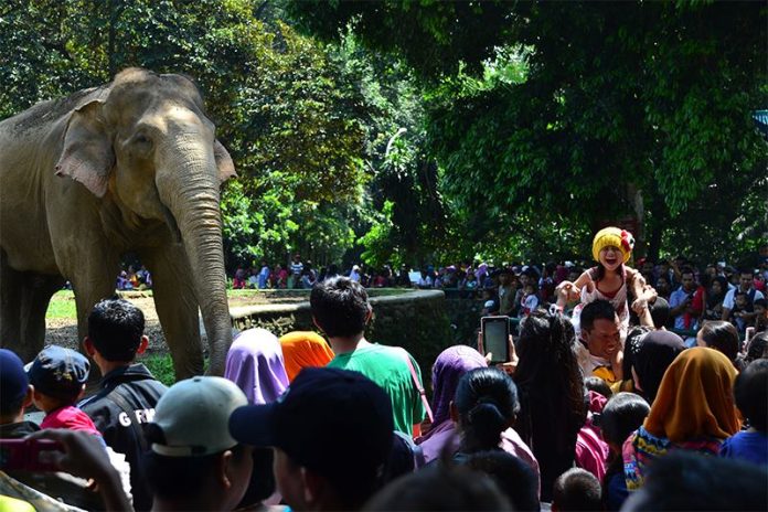 Pengunjung terlihat berjubel di depan kandang gajah di Taman Marga Satwa Ragunan, Jakarta. (Foto: Fajrul Islam/SuaraJakarta)