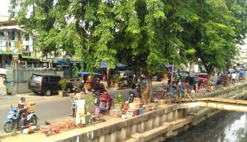 Pedagang Burung Dara Bikin Kumuh Jalan Sunter Kemayoran